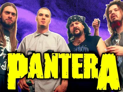 Picture of Pantera