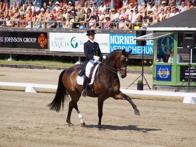 Bild av Falsterbo Horse Show