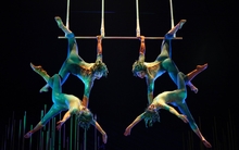 Cirque Du Soleil