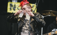 Punk In Drublic